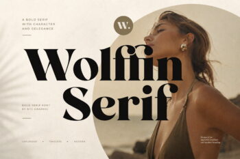 Bold Serif Font